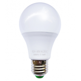 Ampoule LED bulbe E27, 6W 12V-24V AC/DC, blanc chaud 3500°K